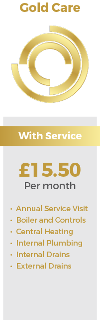 Gas Gold Care Maidstone